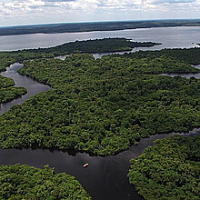 Aerial photograph of Brazil's Amazon rainforest