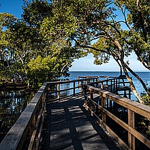 Boardwalk 