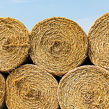 Bales of hay 