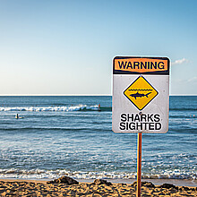 Shark sighting warning sign