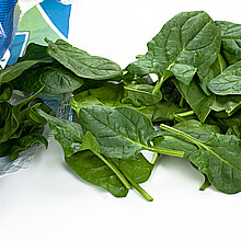 Spinach package 