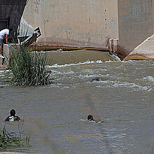 Un grupo de migrantes cruzan el río Bravo, este miércoles en Ciudad Juárez (México). 