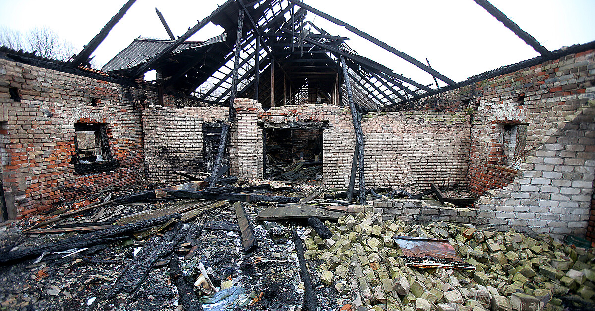 Explosion at Texas dairy farm kills 18,000 cows ADN América