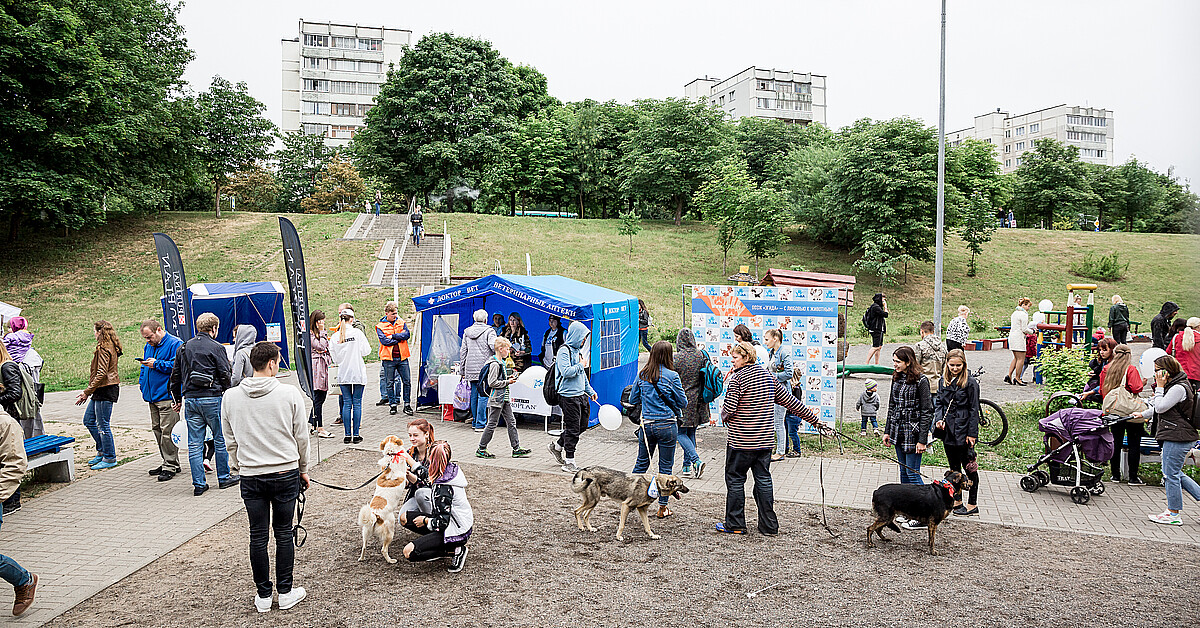 Queens family reunited with missing dog at pet adoption event ADN América