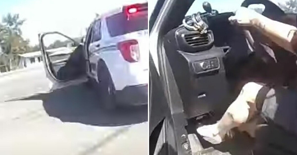 VIDEO: Mujer de Florida roba patrulla y muere tras chocar con camioneta ...