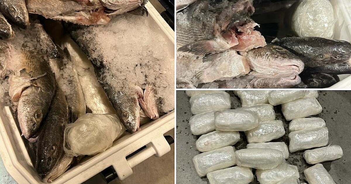 CBP discovers 50 pounds of methamphetamines hidden in seized fish at ...