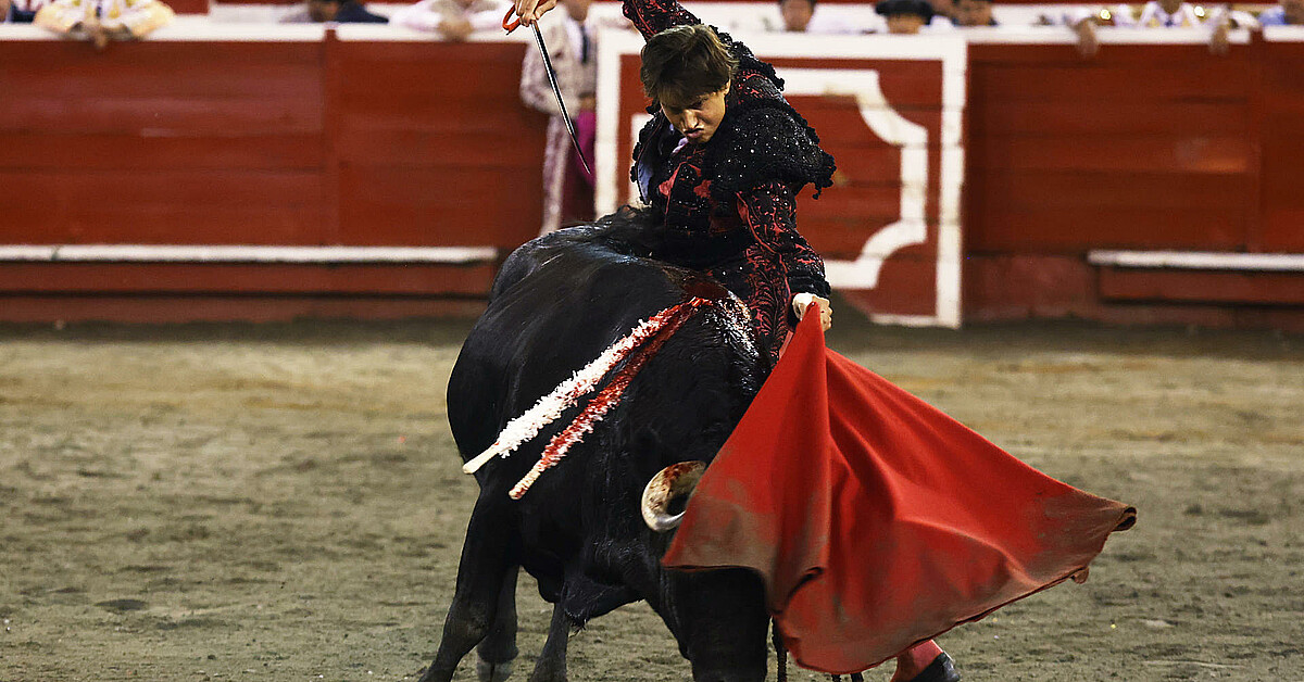 Colombia: aprueban proyecto de ley que prohíbe las corridas de toros en ...